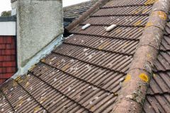 WhatsApp-Image-2021-11-08-at-20.23.05